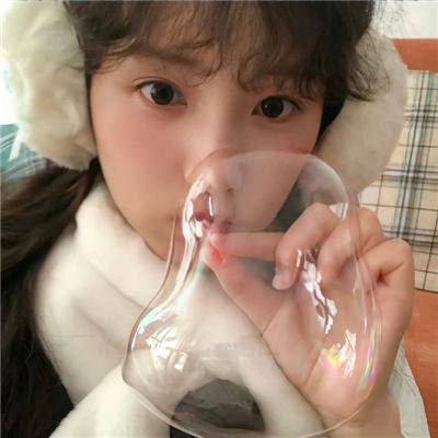 柏林猫咪日记