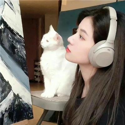 完全夏绿蒂